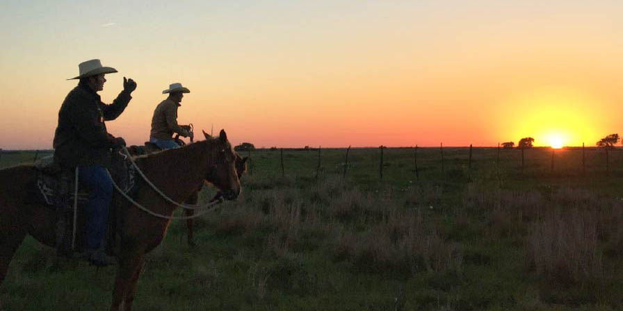 Cowboys riding into the sunset